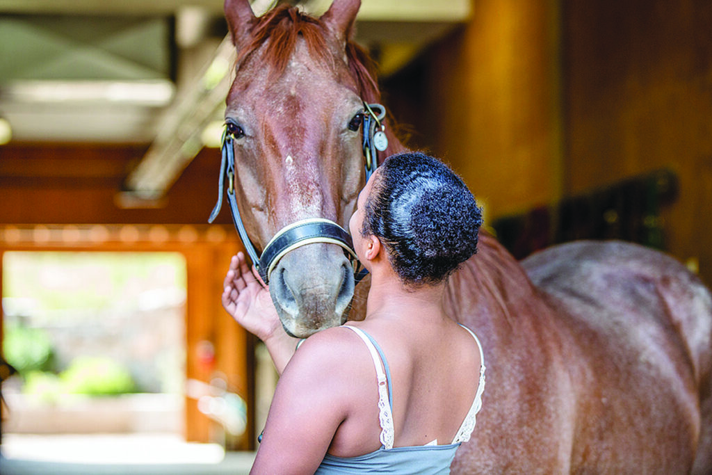 equine-assisted therapy