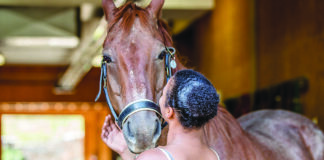 equine-assisted therapy