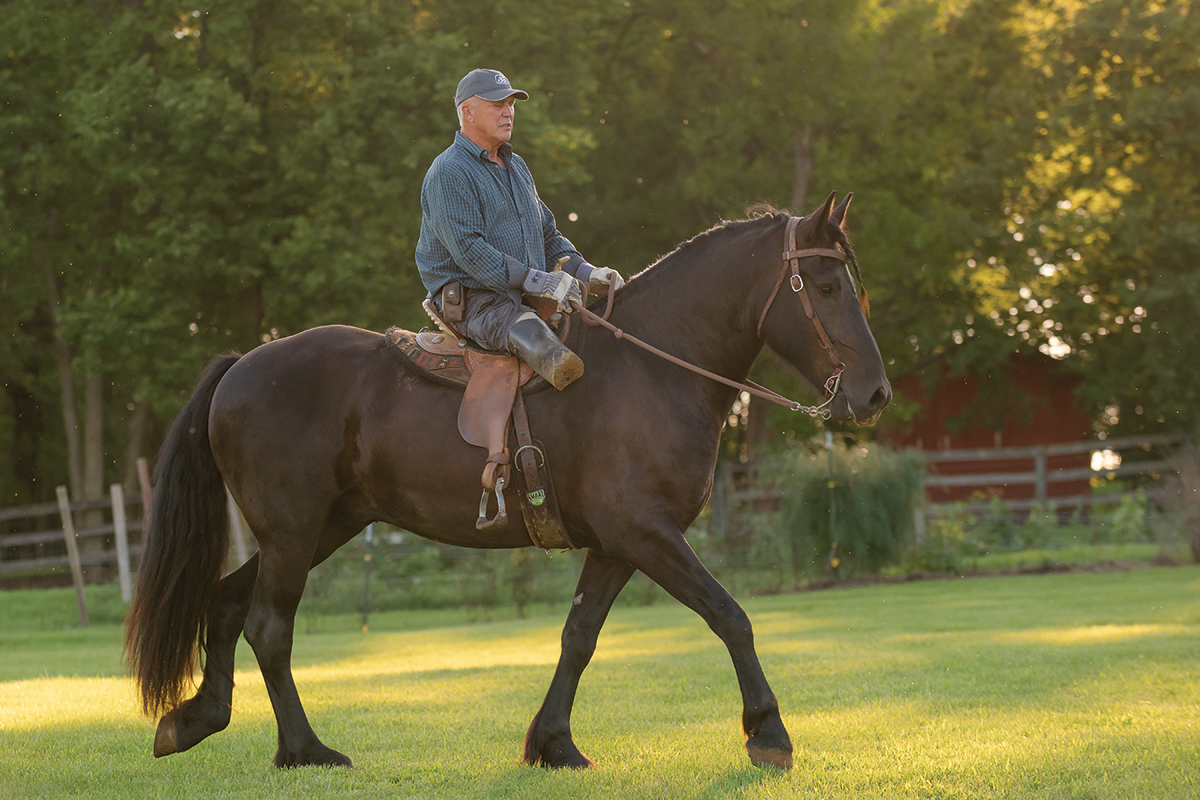 challenged rider on his horse