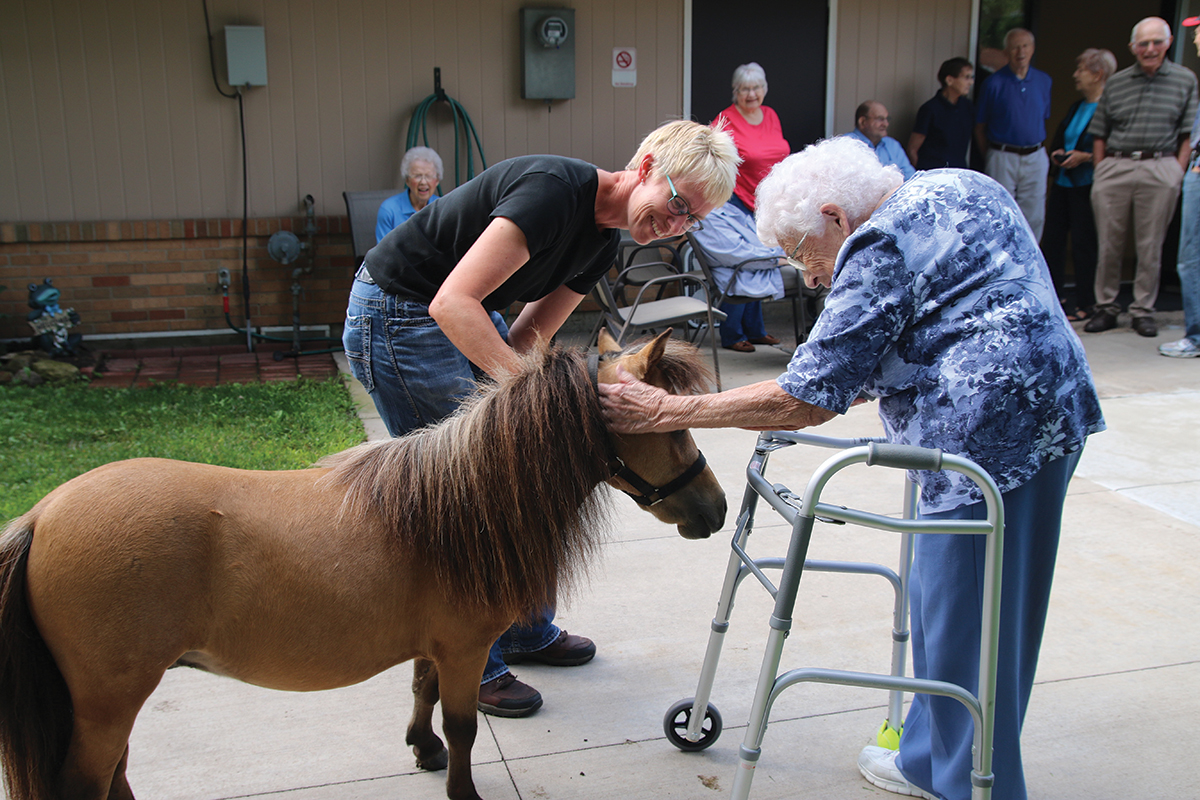 therapy horse visit