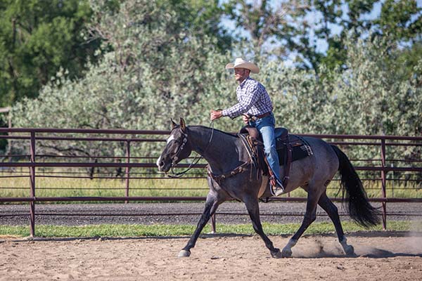 ranch riding trot