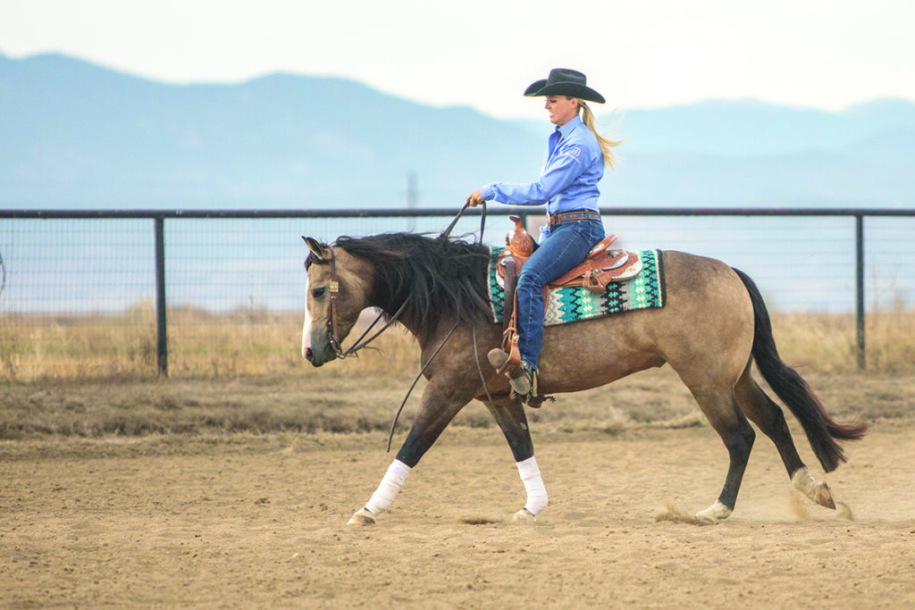 horse reining rundown