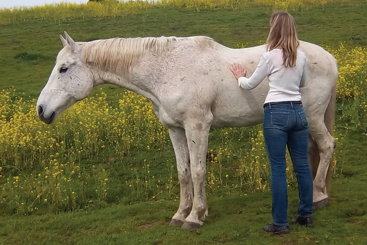 A woman practices somatic horsemanship with her horse in a field