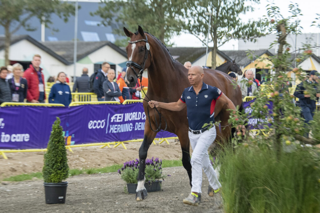 Steffen Peters & Suppenkasper