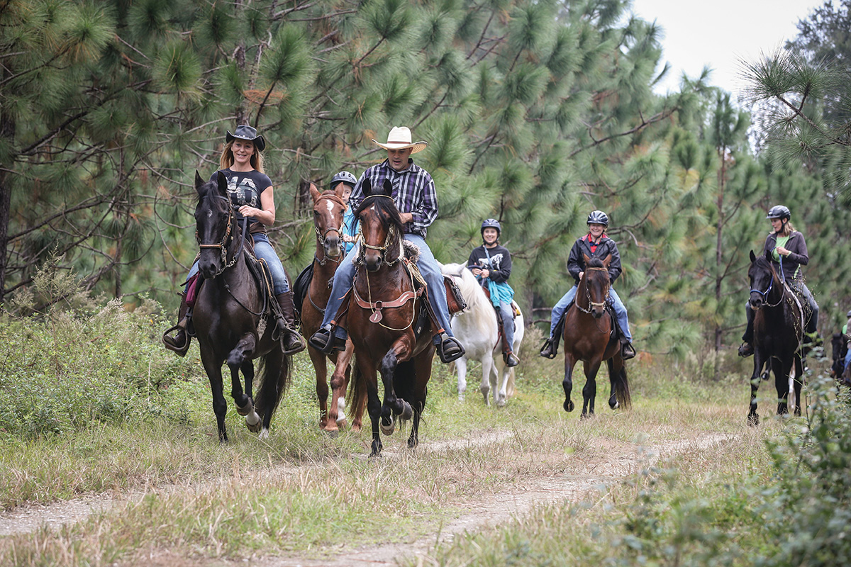 A group out on a trail ride aboard gaited equines.