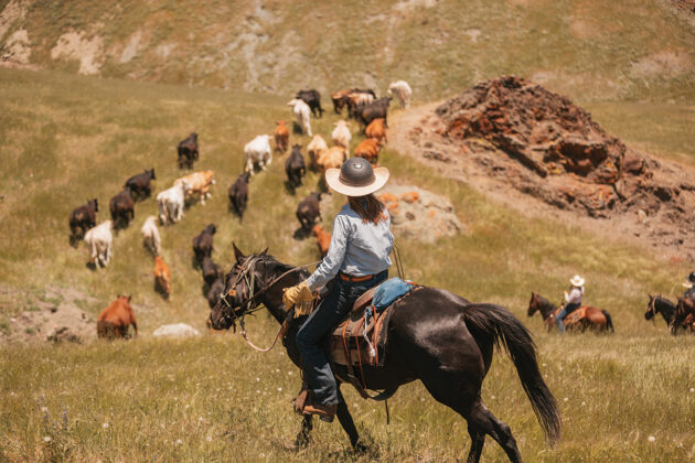 Visit the V6 Ranch - Horse Illustrated