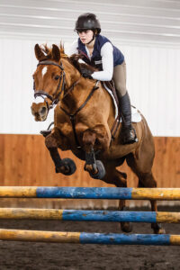 A rider jumps her horse, which is body clipped as a form of cold weather horse care