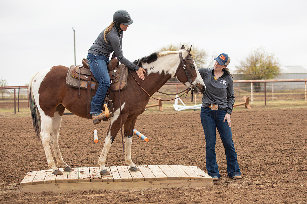 A girl riding a Paint with her instructor
