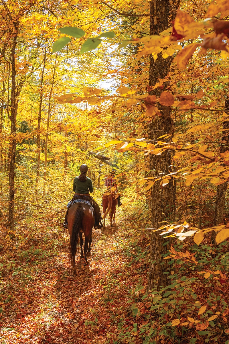 Horseback riding in Algonquin Provincial Park in the fall.