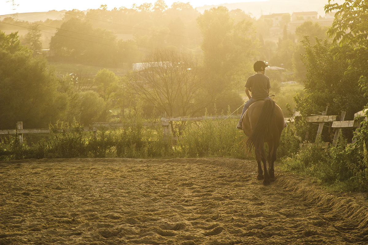 Riding a horse during early hours, which helps avoid heat to keep a horse with anhidrosis in work.