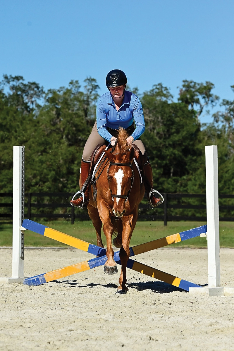 Allison asks Oakley to switch leads over the cross-rail after jumping at an angle without the chute poles.