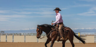 A trainer riding a bay gelding with a mountain backdrop