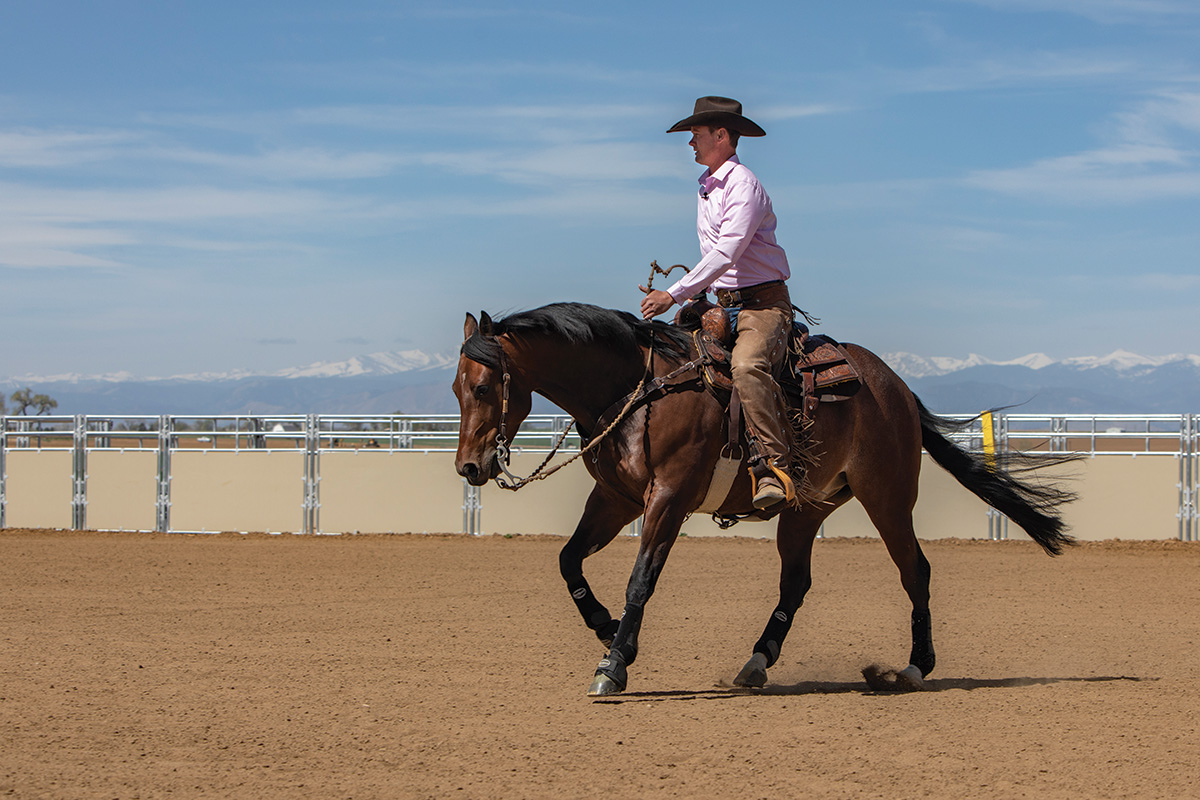 A trainer riding a bay gelding with a mountain backdrop