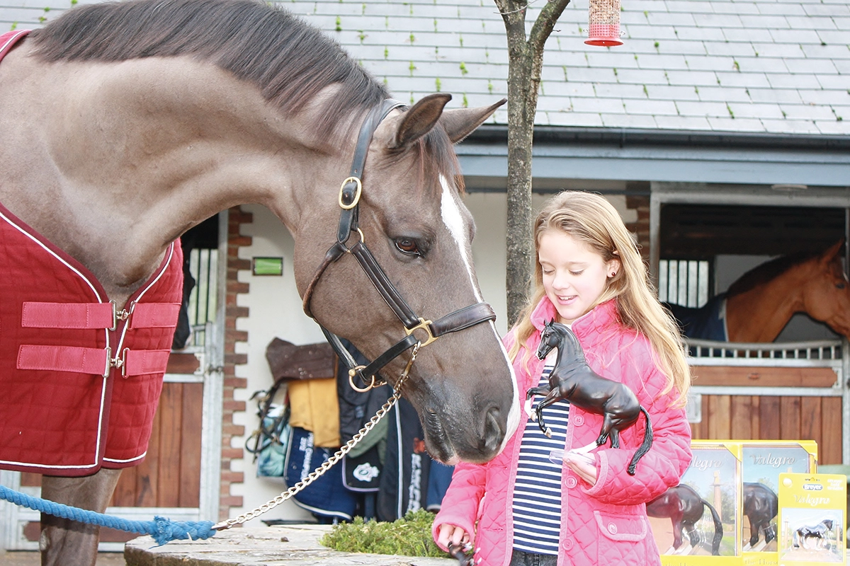 A fan meeting Valegro while holding his Breyer model horse.