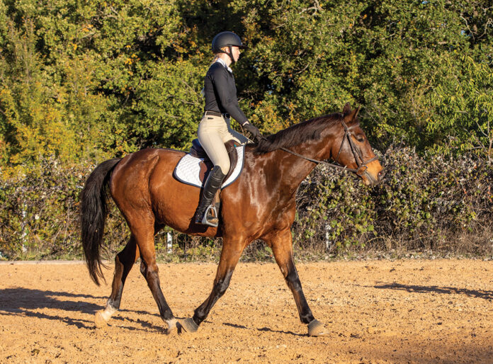 Changing Riding Disciplines: English to Western - Horse Illustrated
