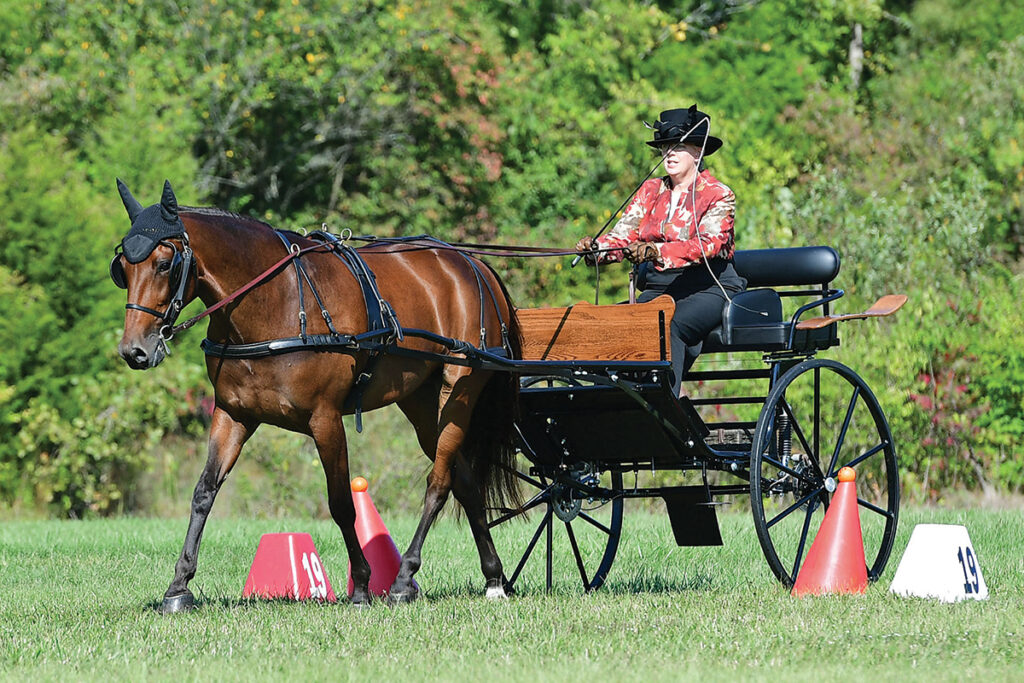 What is Combined Driving? - Horse Illustrated