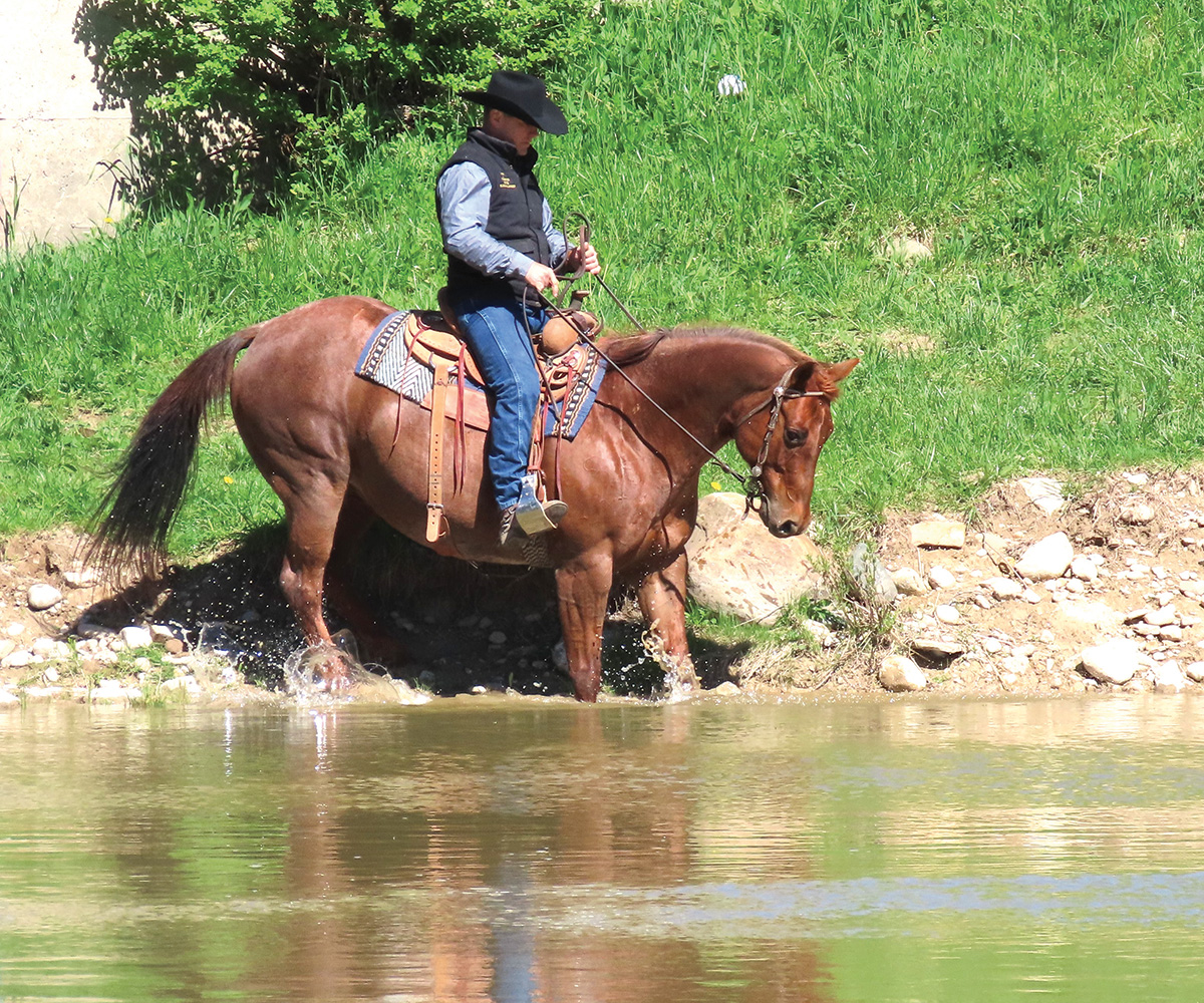 A horse and cowboy begin crossing water