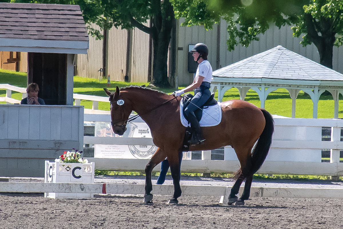 An equestrian performing a rein-back on her horse