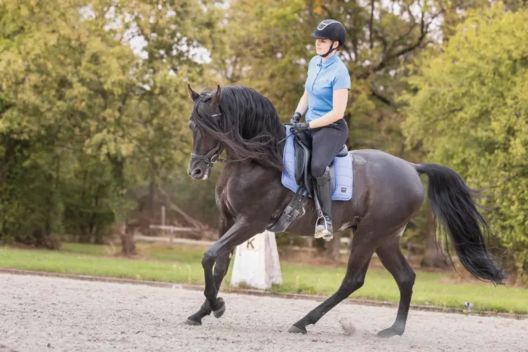 Harnessing Neuropsychology in Equestrian Sports