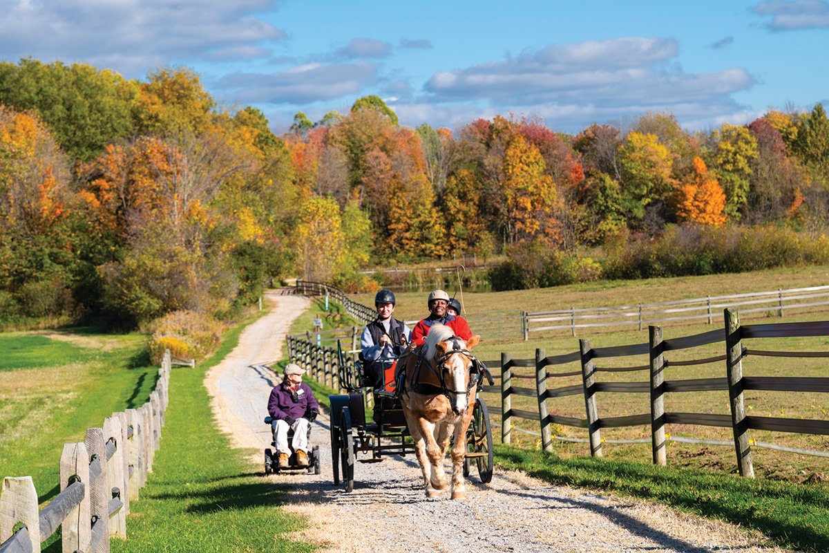 A horse-drawn carriage among fall foliage at an equine assisted services facility