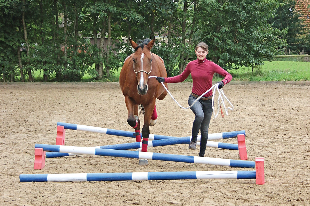 An equestrian trotting her horse over ground poles, looking ahead to practice good ground equitation.