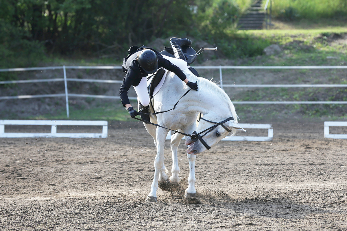 A rider falling off a horse. Buying a horse unseen is a common mistake, as you can't predict what the horse will actually be like.