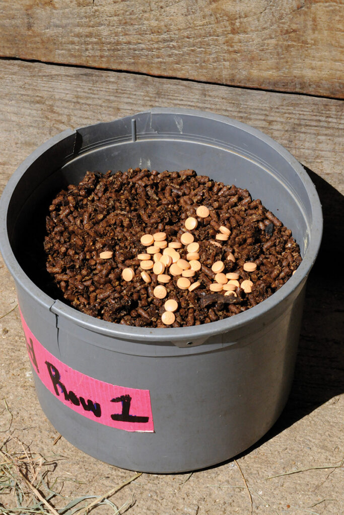 Colitis in Horses Horse Illustrated