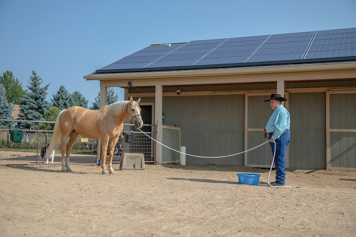 Working with a horse to improve feeding time behavior.