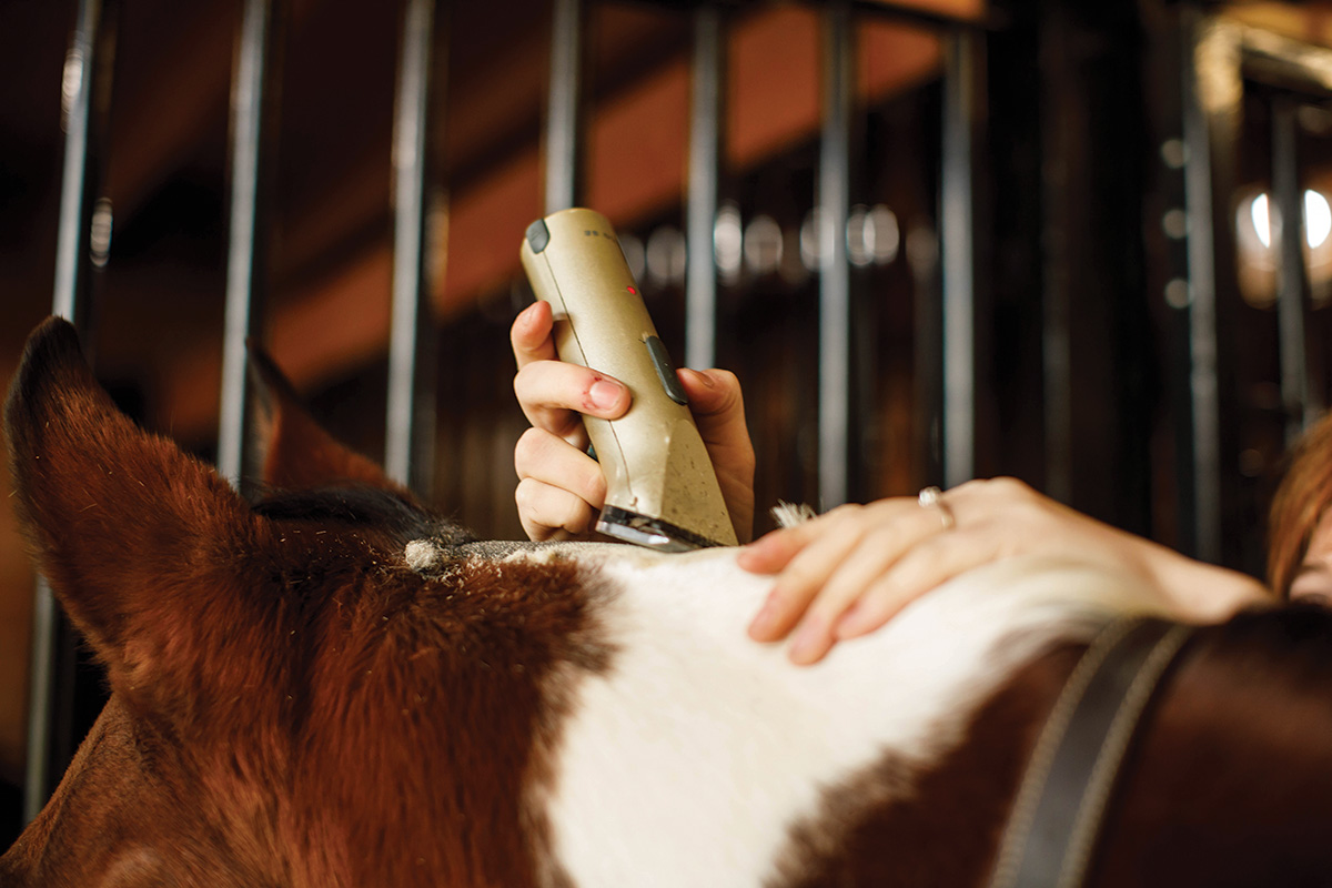 Clipping the bridle path