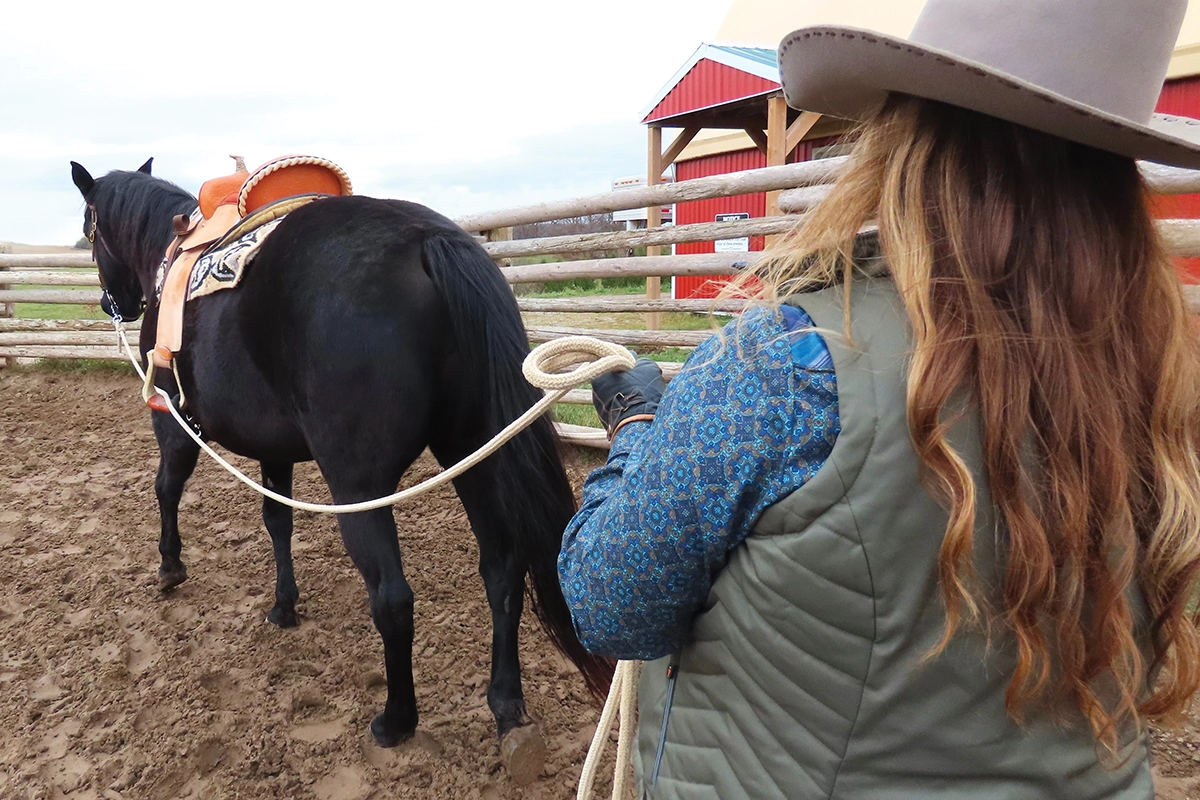 Bronwyn Irwin works on teaching a horse to ground drive.