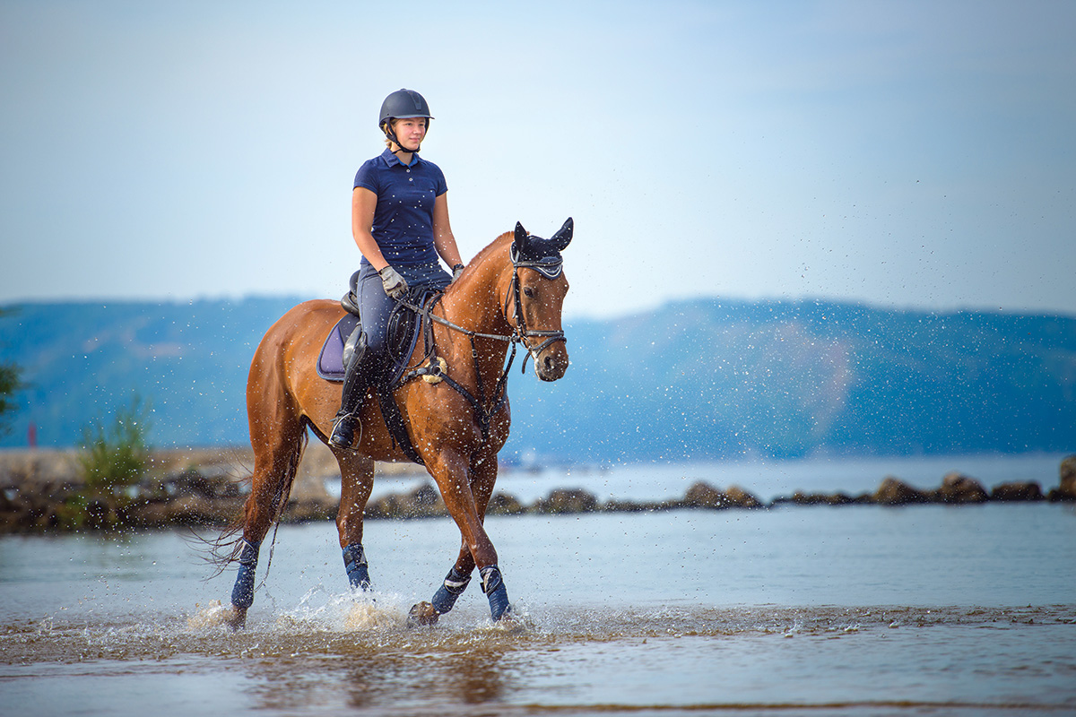 An equestrian rides her horse on the beach