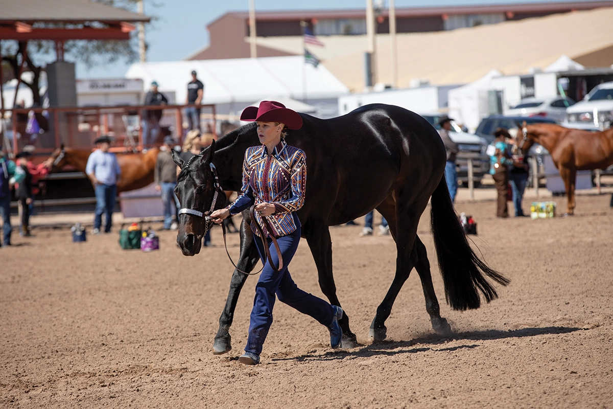 Showmanship at an American Quarter Horse Association show. In 2012, the AQHA created the AQHA Animal Welfare Commission, with members appointed from all segments of the equine industry.