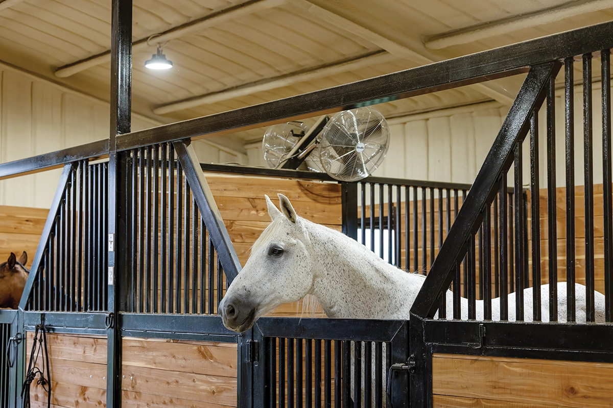 A stall inside a barn.