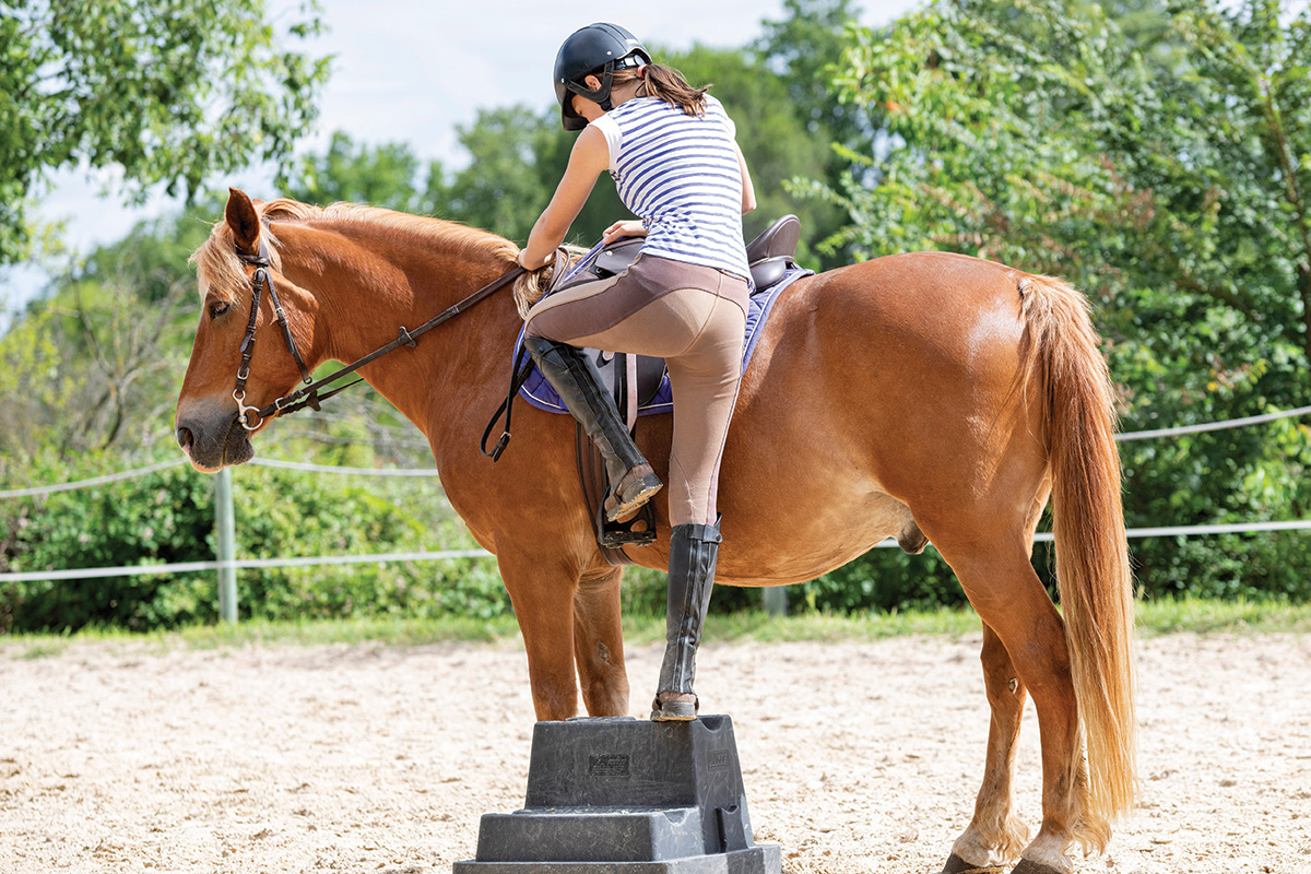 An equestrian using a mounting block as a safety measure while mounting her horse