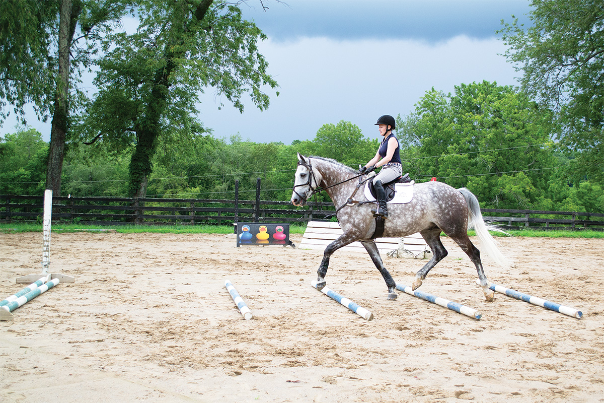 A rider trots a dappled gray over ground poles