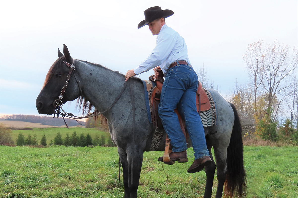 Teaching a horse to stand still while mounting