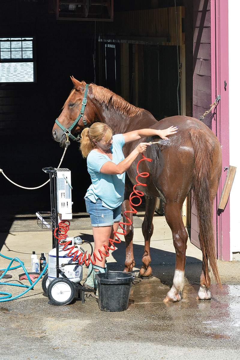 An equestrian uses a portable hot water heater to bathe her horse to save money on bills during inflation