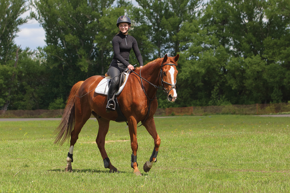 An equestrian aboard a chestnut