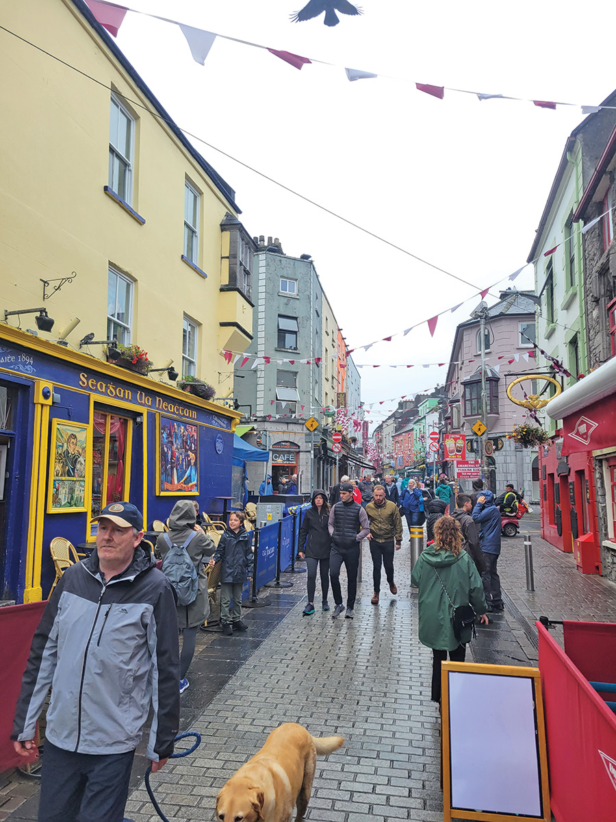 A village on the Emerald Isle.