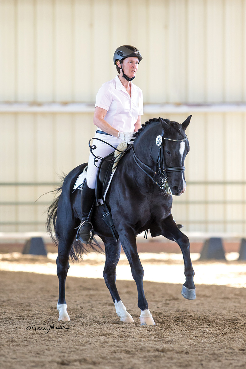 A horse and rider doing dressage