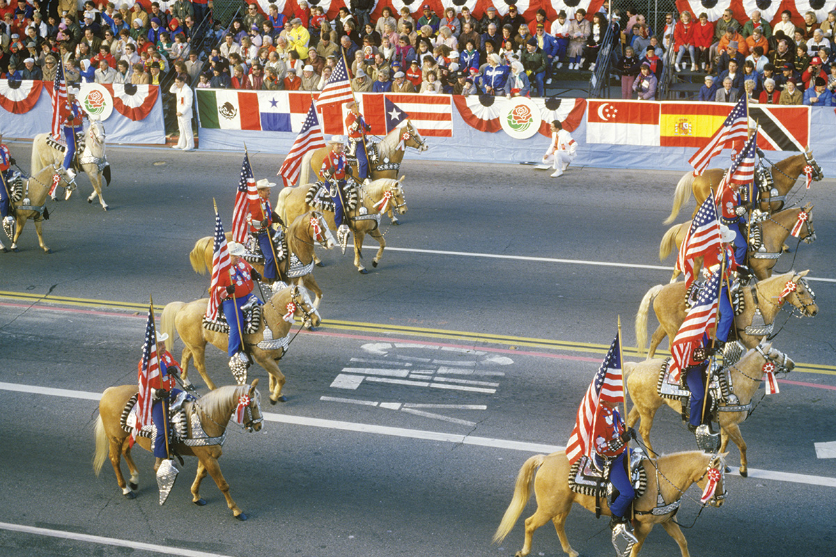 Palomino horses in a parade
