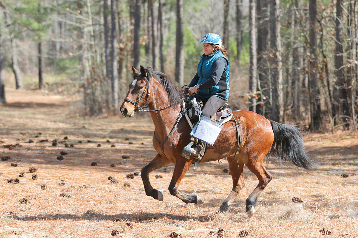 A woman endurance trail riding in a forest