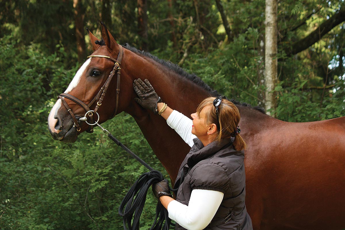 lessons our horses teach us