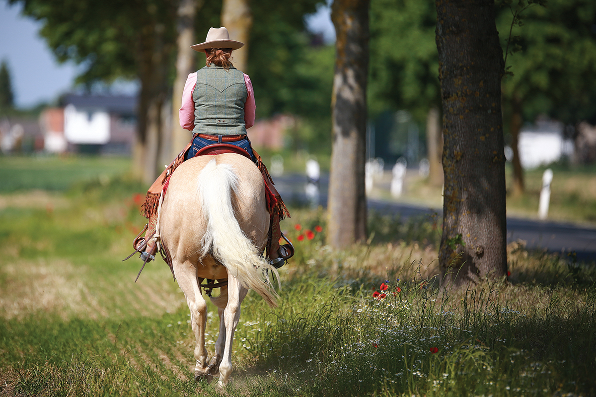 equine legal issues