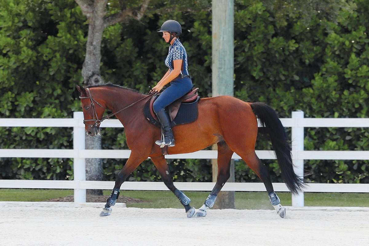 An equestrian aboard a bay trotting in an outdoor ring