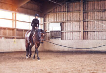 Improving Under-Saddle Communication A longe-lide riding lesson, which can improve under-saddle communication and nerves.
