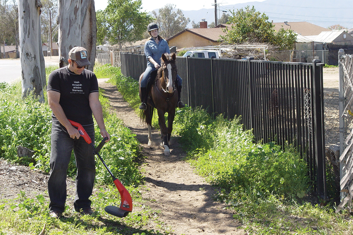 A horse and rider urban trail riding encounter a noisy weed wacker.