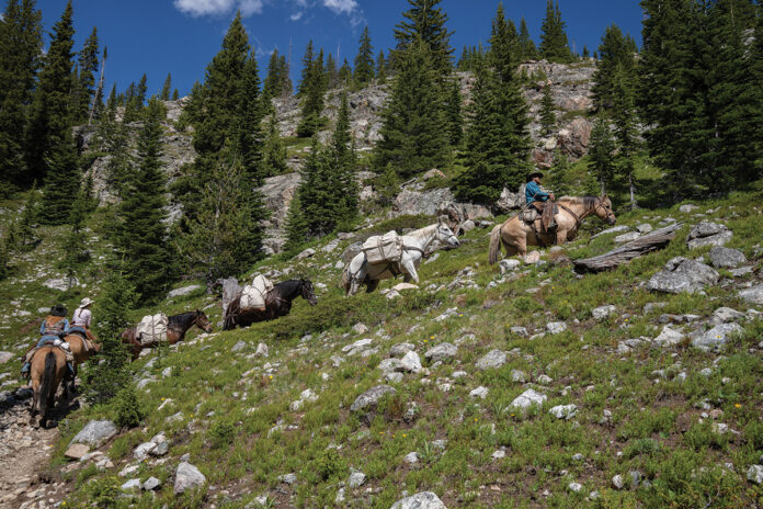 Pack Rides A Pack Ride in Wyoming - Horse Illustrated