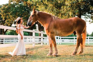 Finding Love Through Equine Adoption
