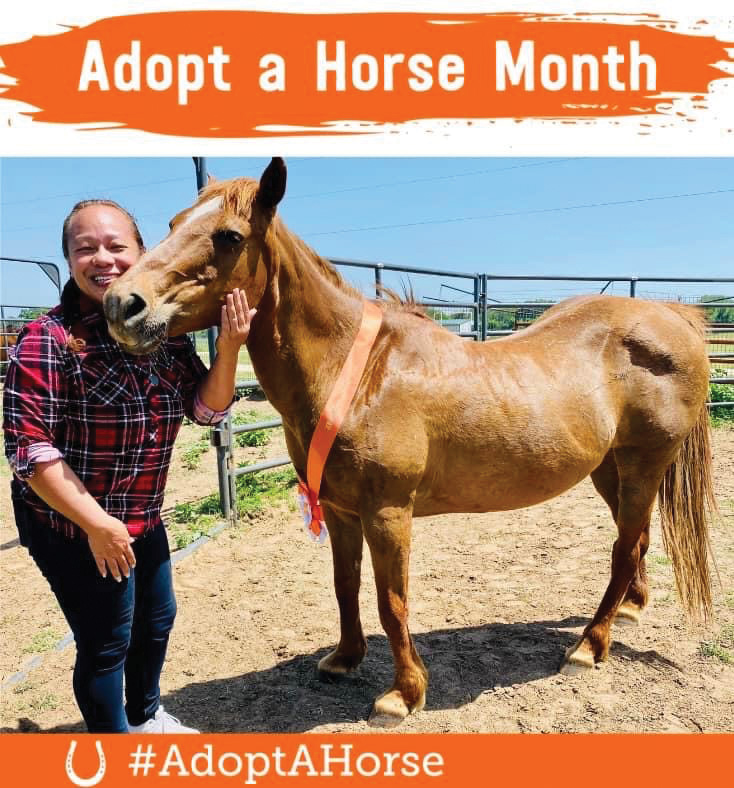Adopt a Horse Month success